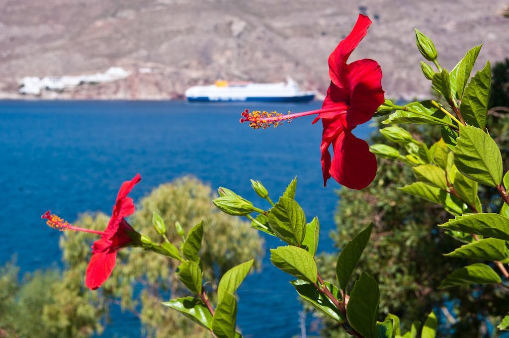 Antoniadi Rooms Livadia (Tilos) Exterior foto
